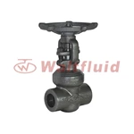 Forged Steel Gate Valve