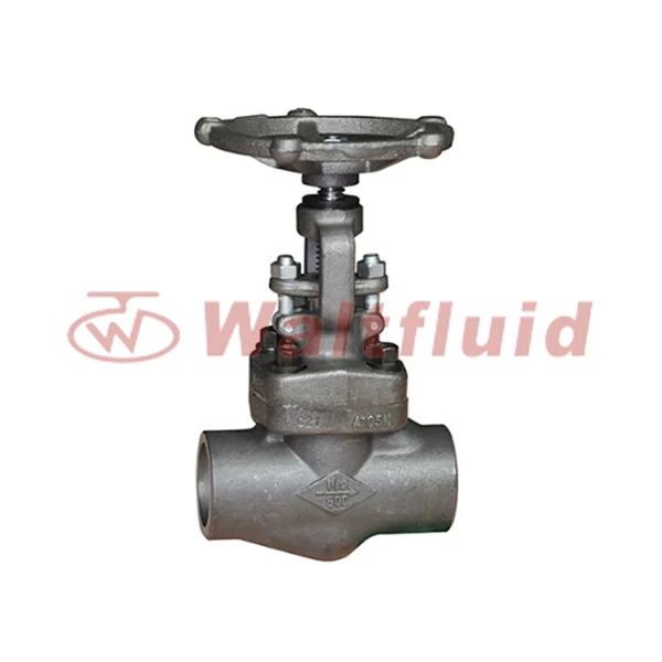 Forged Steel Globe Valve